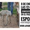 NO A LA EXCLUSION DE LOS PERROS DE CAZA DE LA LEY NACIONAL DE PROTECCION ANIMAL