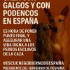 Por el fín de la caza con galgos y con podencos en España