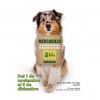 🐾 Mercadillo Solidario a favor de los animales 🐾 Del 1 / 11 al 5 / 12
