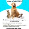 Patas y P&iacute;xeles: &iexcl;Concurso de fotograf&iacute;a CIPFPD!