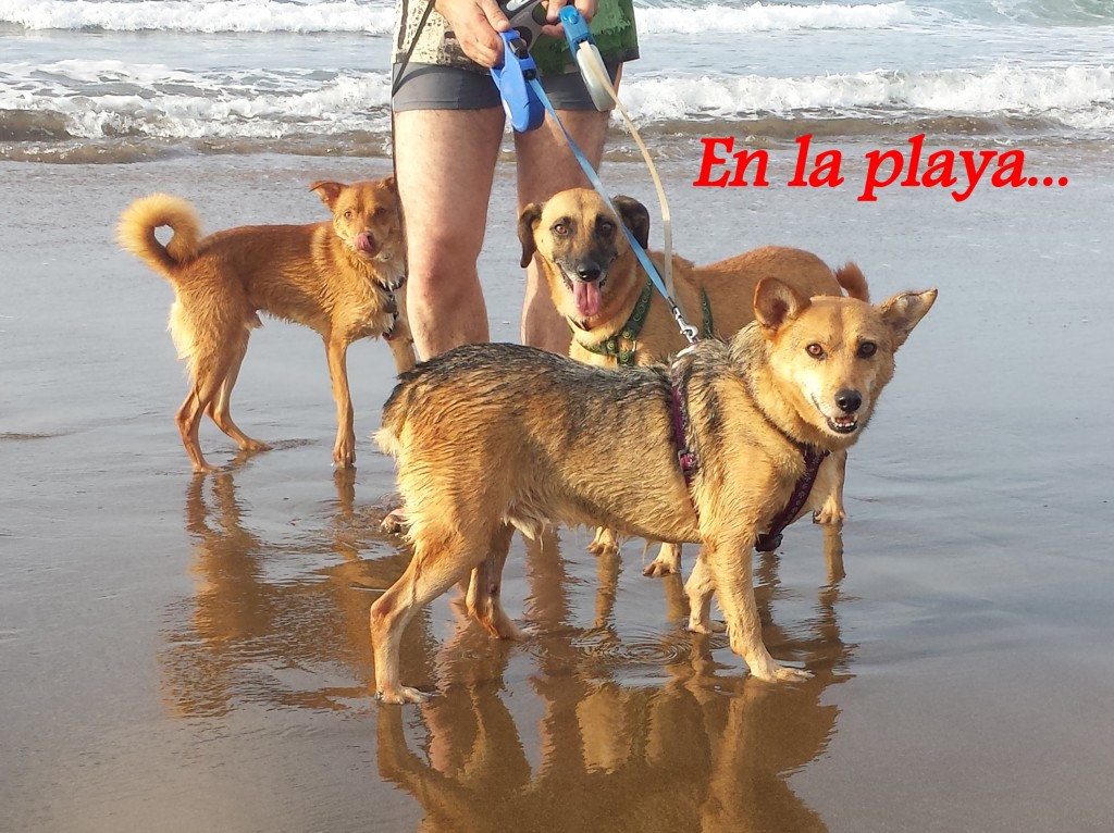 20141101_161401 copia