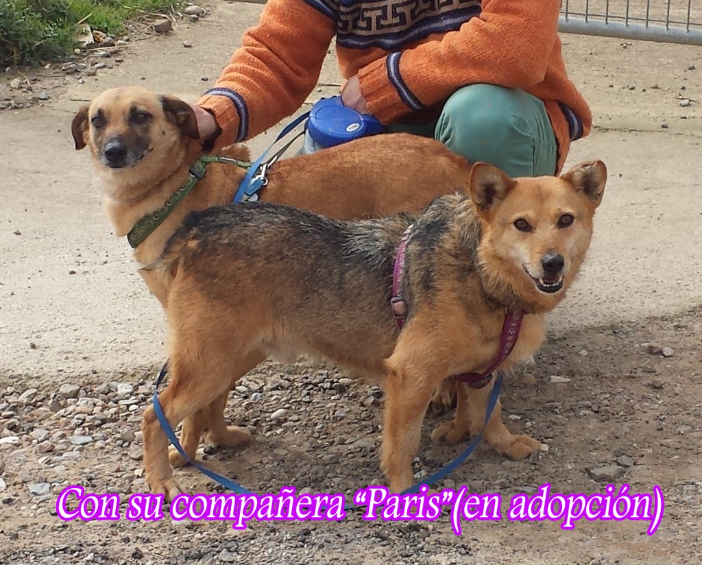 20150301_122745 copia