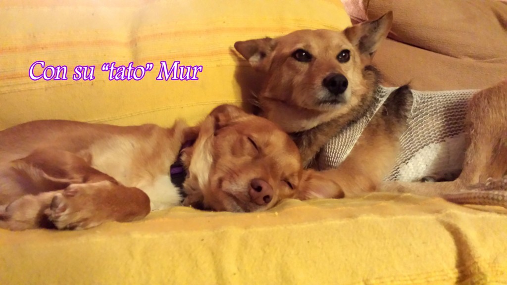 20160519_031344 copia