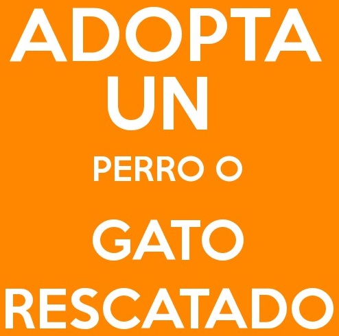 adopta (2)