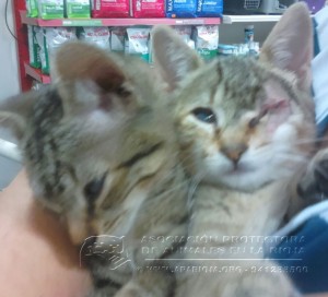 IMG-20141029-WA0031 copia