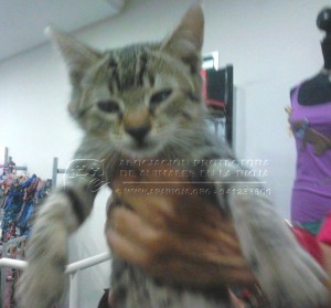 IMG-20141029-WA0035 copia