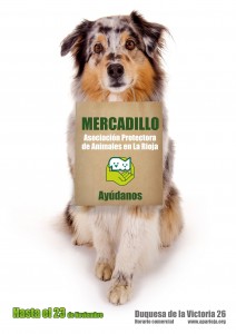 mercadillo 2014