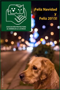 1497574_843461975674474_5761338346624116368_n