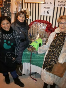 IMG-20141214-WA0001 copia