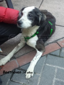 20150110_170847 copia