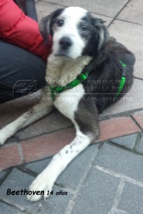 20150110_170854 copia