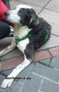 20150110_170900 copia