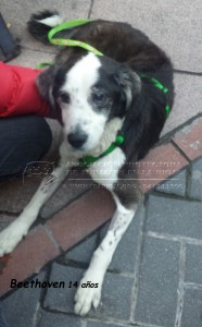 20150110_170908 copia