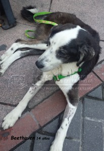 20150110_170947 copia