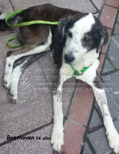 20150110_171002 copia