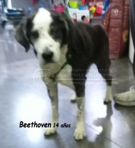 IMG-20150110-WA0018 copia