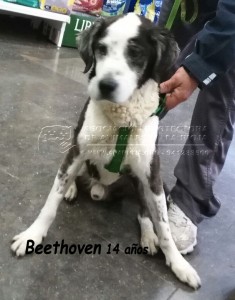 IMG-20150110-WA0019 copia