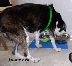 IMG-20150110-WA0022 copia