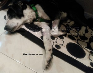 IMG-20150110-WA0023 copia