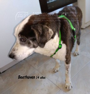 IMG-20150110-WA0025 copia