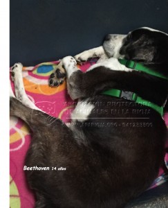 IMG-20150112-WA0006 copia