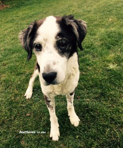 IMG-20150113-WA0000 copia