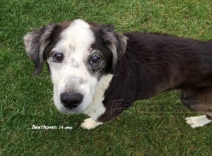 IMG-20150113-WA0001 copia