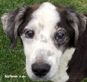 IMG-20150113-WA00011 copia