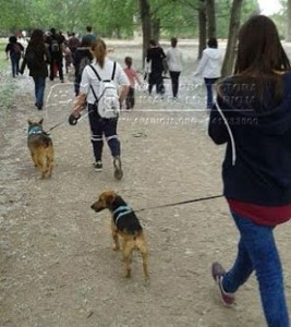 received_815665915182292