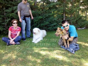 10307197_705735246239684_1096868302515021716_n