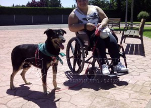 10339555_705735499572992_3830797442378352016_n