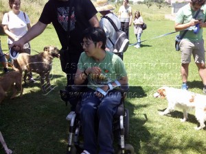 10409409_705734929573049_7833004356097162916_n