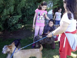 10443550_705734952906380_5752671719630813756_n