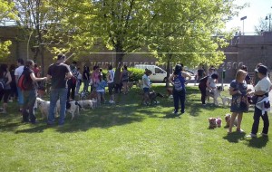 10502158_1019520874755464_8059014287295923745_n