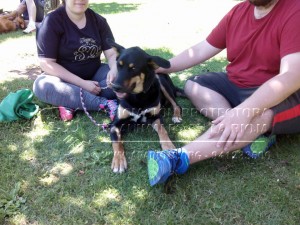 10574283_705735402906335_4590799470901483715_n