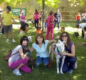 10635992_1019520984755453_311394263131381860_n