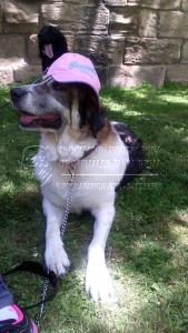 10710965_10207360903399897_2458948437140277515_n