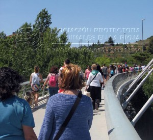 11121141_10205460465525989_414405828_n