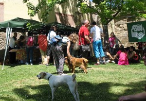 11124498_10205459772988676_1150599659_n