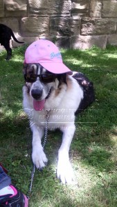 11159992_10207360902719880_4251392828933888203_n