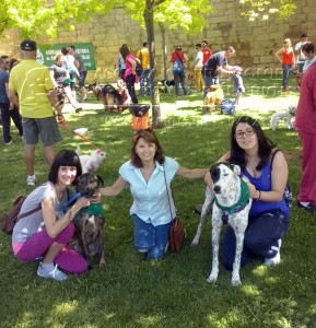 11181751_1019520998088785_6084036254036758197_n