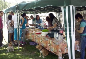 11264591_1019520758088809_1997595086613723995_n