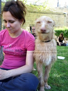 11287148_10205459773228682_741064101_n