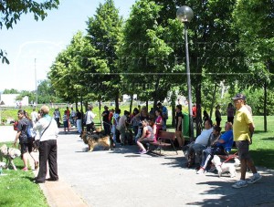 11289651_10205459766908524_1586643319_n