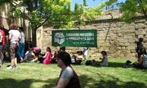 11289872_10205459774028702_70546551_n