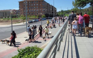 11348928_10205460465005976_1542308586_n