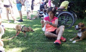 11377310_705735136239695_1168964962874223411_n