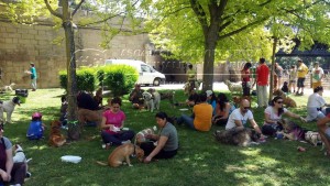 11391159_10207360908080014_9210457836152914104_n