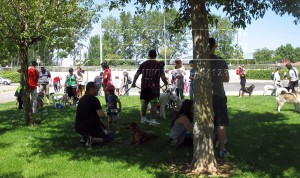 11391197_10205459765588491_8590533551775851390_n