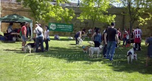 11391198_1019520804755471_7090860053314521171_n